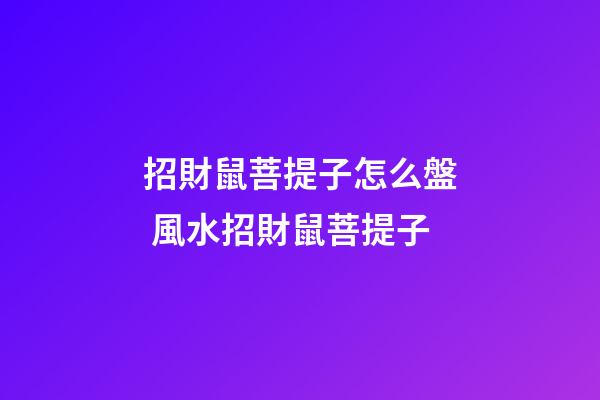 招財鼠菩提子怎么盤 風水招財鼠菩提子